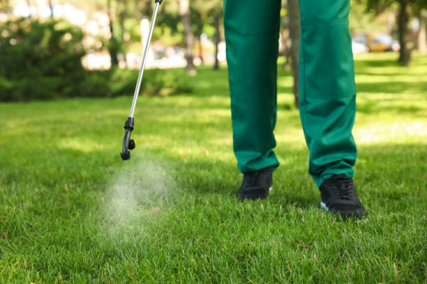 Best Flea Control Services  in Federal Heights, CO