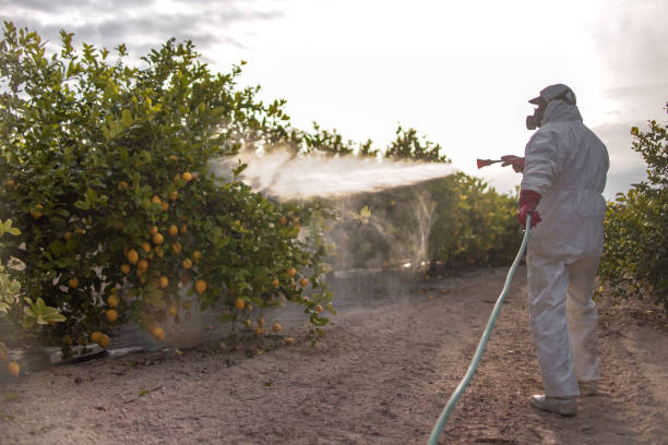 Bird Control in Federal Heights, CO
