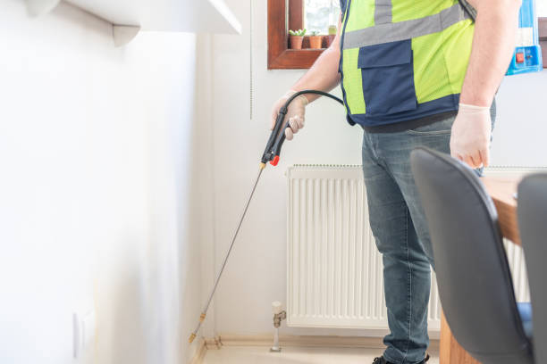 Flea Control Services in Federal Heights, CO
