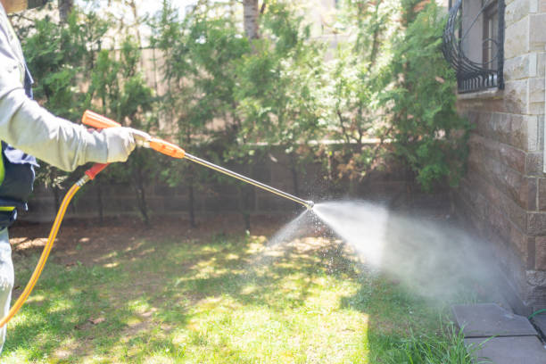 Best Mosquito Control Services  in Federal Heights, CO