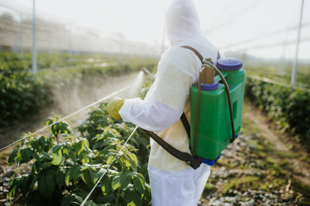Best Local Pest Control Services  in Federal Heights, CO